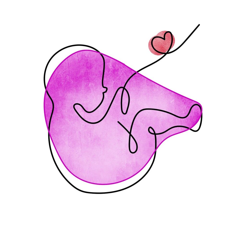 baby, design, pregnancy, pregnant, drawing, boho, parenting, birth, fetus, pregnancy, pregnancy, pregnancy, pregnant, pregnant, fetus, fetus, fetus, fetus, fetus